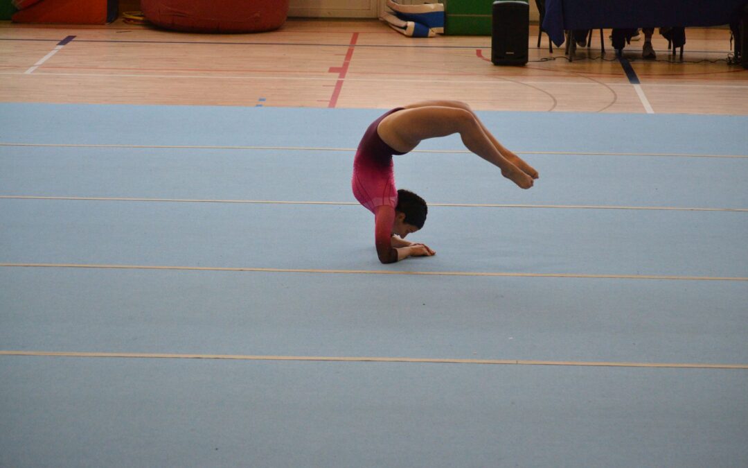 Gimnàstica artística i acrobàcies